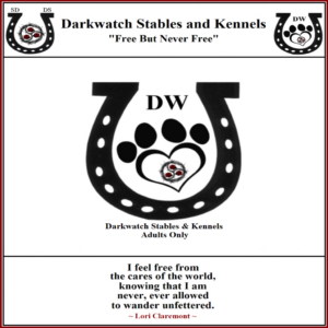 Darkwatch Welcome - Angel Darkwatch